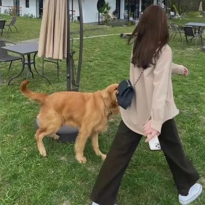 狂犬病1977